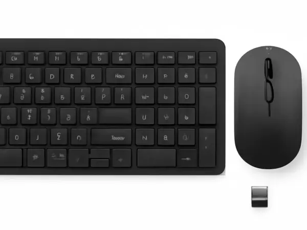 Combo clavier et souris sans fil professionnel noir, clavier pleine taille et souris ambidextre